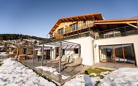 Moho Mountain Home